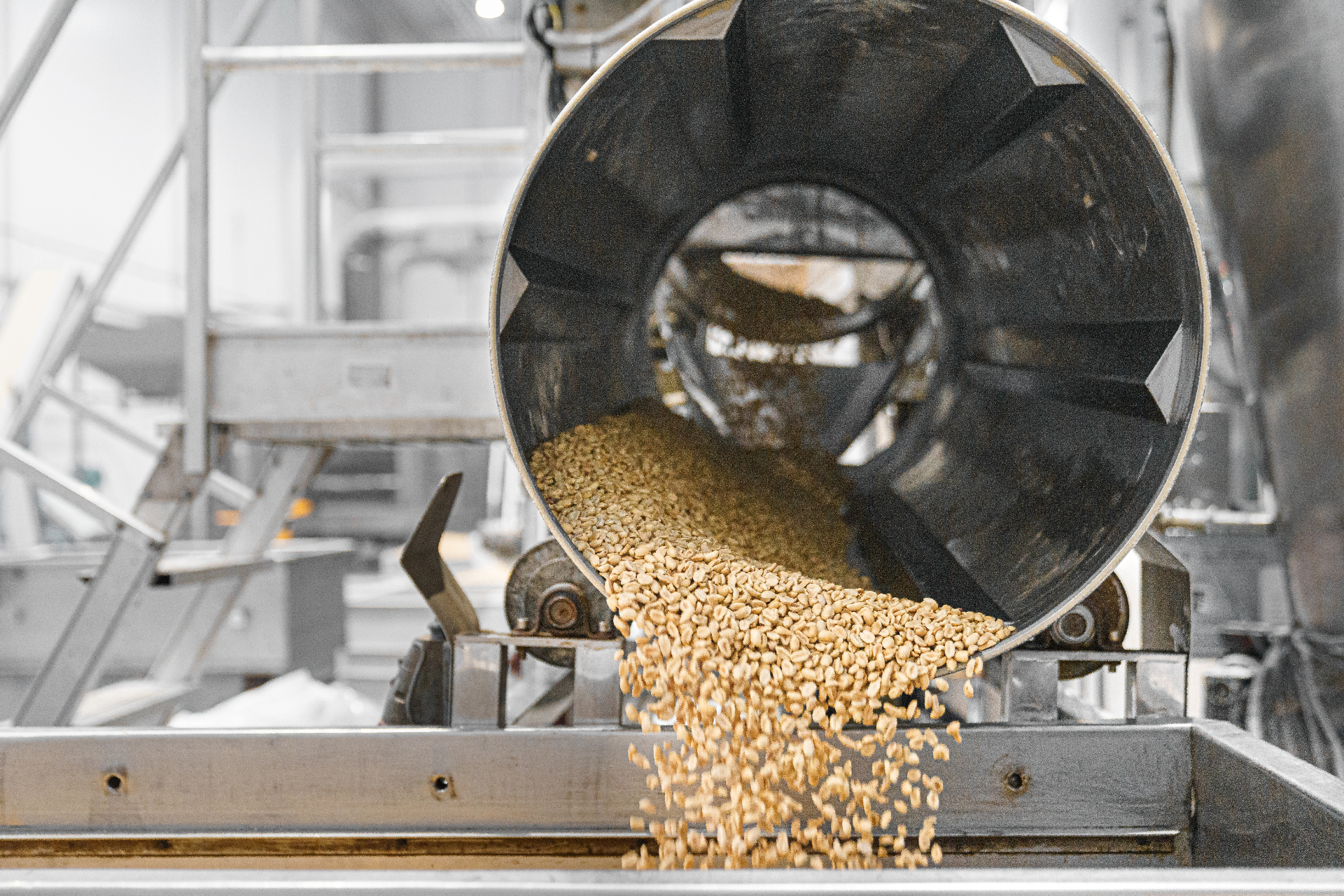 Industrial drum processing grains in a food production facility