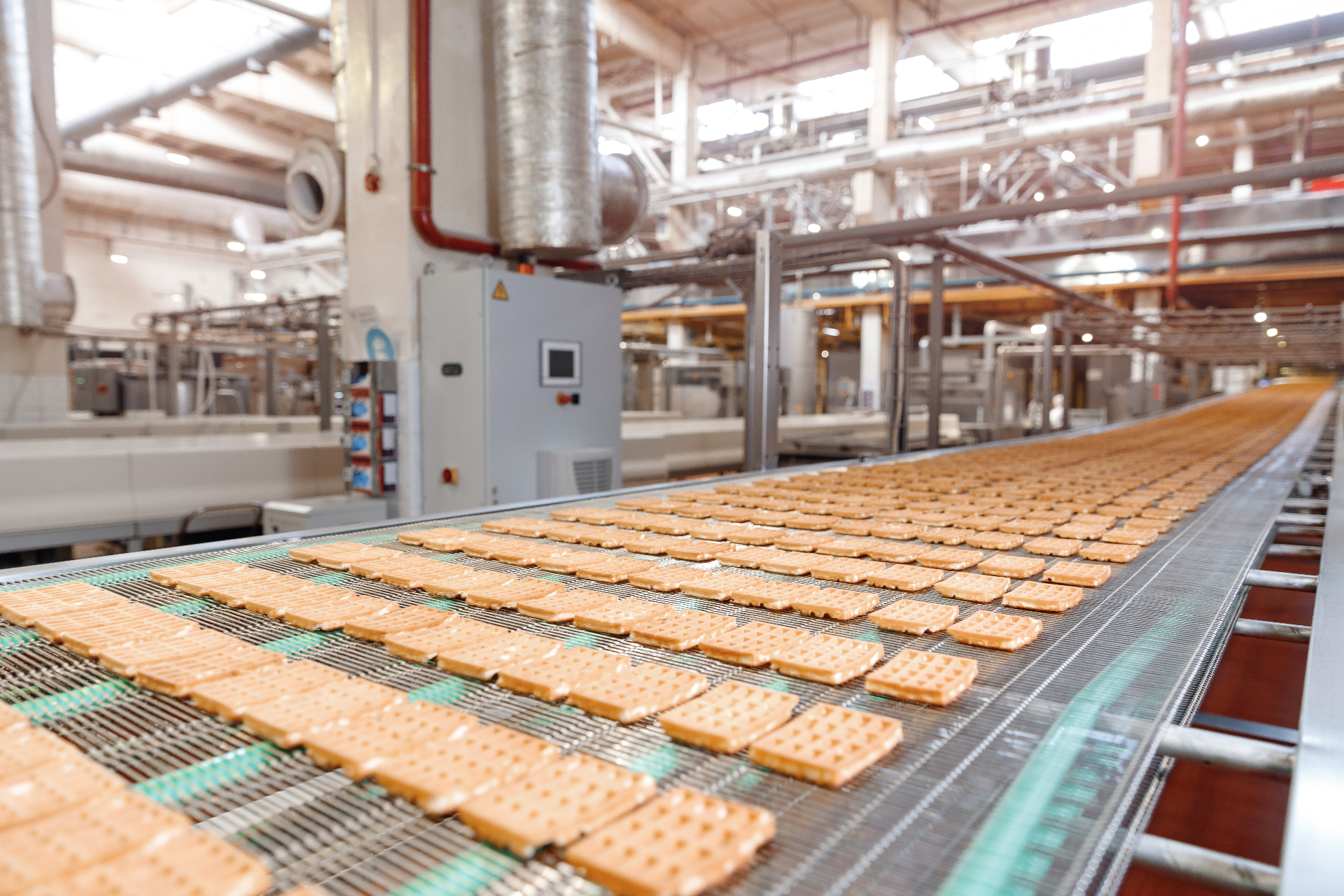 Food and beverage production line inside a Parnaby delivered facility